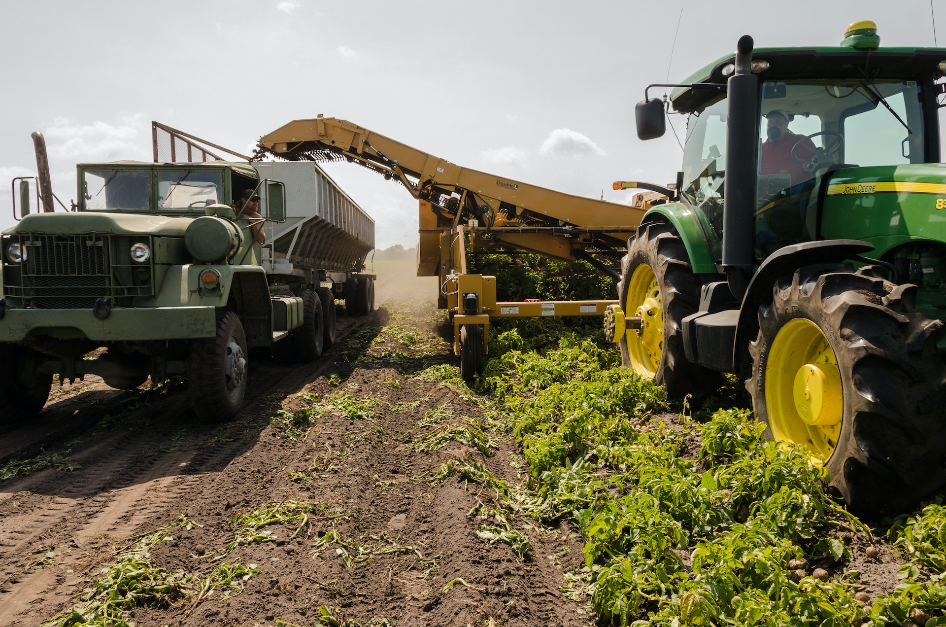 machine-harvest-2